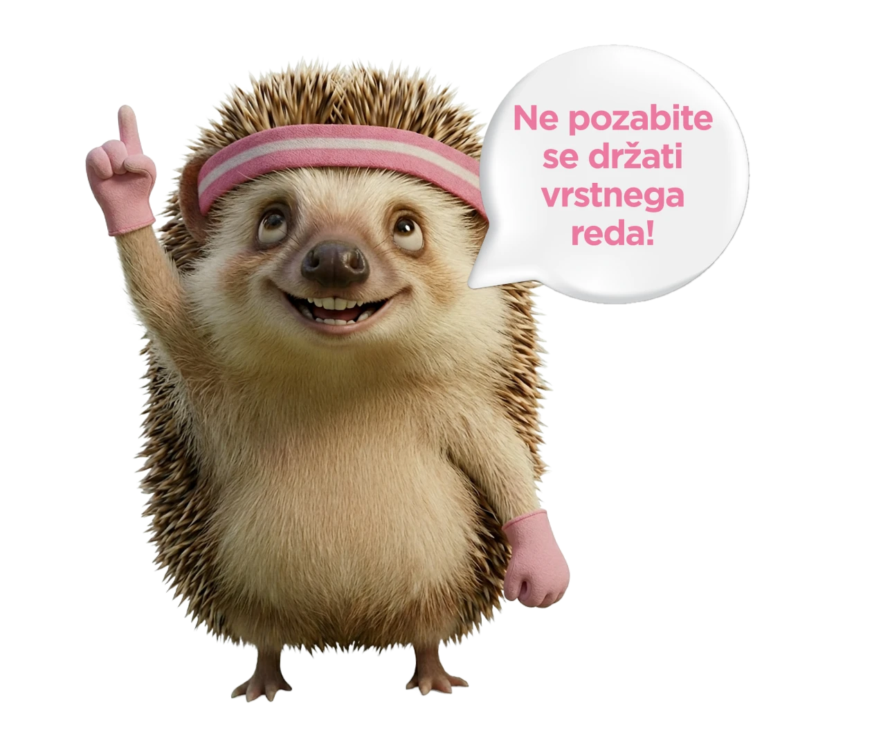 jezko-navody-si-69cbbdf083d09162093461.webp